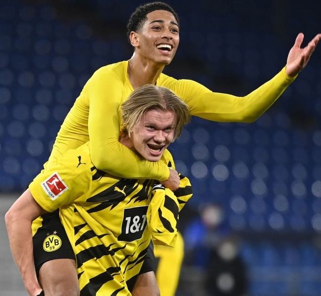 在近年来已 在近年来已